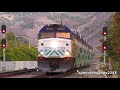 Amtrak & Coaster Trains San Diego County, CA (August 2020)