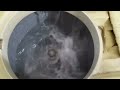 Whirlpool ACE 80A Agitator in action.