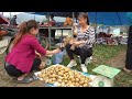 Bumper Potato Crop - Harvesting Potato Goes To Sell At The Market - Take Care Of Puppies - New Life