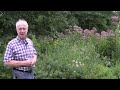 Ecological Landscaping-Ideas for ALL homeowners!#pollinatorgarden  #dougtallamy
