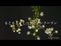 世界に一つだけの花　SMAP 歌詞付き