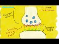 HOW DOES ZOLOFT WORK? (SERTRALINE MEDICATION FUNCTION EXPLAINED)