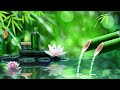 Relaxing Music to Relieve Stress, Anxiety and Depression 🌿 Heals The Mind, Body and Soul #16