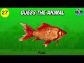 Guess The Animal by Shadow | Guess The Animal Quiz | 30 Animals