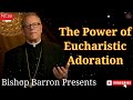 Bishop Robert Barron  |  The Power of Eucharistic Adoration