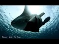 Oscuro - Under The Ocean
