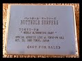 Butthole Surfers - Special Acoustic Live at Tokyo-FM Hall 1993 EP