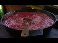 🍓 From Field to Oven: Picking, Drying, and Baking Strawberries