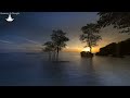 Relaxing Music That Relieves Stress, Anxiety And Heals The Mind