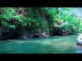 Relaxing stream river sounds white noise for sleeping meditation healing positive energy