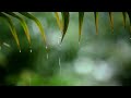 10 Hours of Relaxing Music / Sleep Music with Rain Sound, Piano Music for Stress Relief