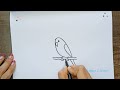 How to Draw BUDGIE - Easy Drawing Videos using Simple Shapes - Parrot Drawing