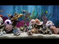 Very Relaxing Fish Tank Aquarium With Water Sound For Focus | No Music | HD