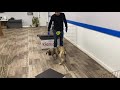 Leo Sullivan - Boerboel puppy training