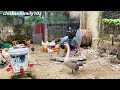 chicken breeding - daily work - Make a food trough - make water troughs - funny Farm.