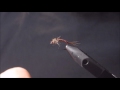 Fly Tying with Corey: Cove's Style Pheasant Tail Nymph