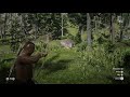 Hunting a cougar with a bow RDR2