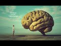 活化腦部音樂[60分鐘] 第一輯 腦部大揭秘 激活大腦前頭葉! 腦內海馬體 智力UP 記憶力UP
