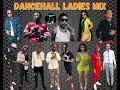Ladies Mixtape Clean 2024/  Ladies Dancehall Mix Clean [ Gyal Segment Mix By (DJ SHAQDHON)