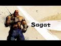 Street Fighter 4 All Characters trailer