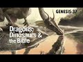 DRAGONS, DINOSAURS & THE BIBLE