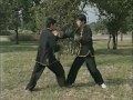 Xing Yi Quan 形意拳 五行拳 十二形拳