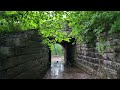 Refreshing natural sounds of rain and birds on the old road, natural sounds for relaxation ASMR