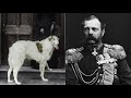 A History of Royal Pets