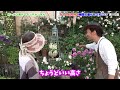 【極狭花壇】バラとクレマチスを物凄い咲かせる大阪の個人庭　　【カーメン君】【濱川庭】【ガーデニング】【初心者】