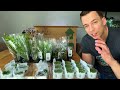 The ScaperLine 90: EPIC Step By Step 3ft Aquascape Tutorial