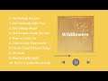 【Wildflowers】Playlist for BGM