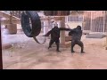 The Gorilla Family Fights! Shabani Got Upset. | Higashiyama Zoo