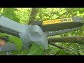 Cutting Trees With Ease! WorkPro Garden Pruning Chainsaw Review