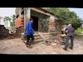 Cleaning up a dilapidated house covered by a giant tamarind tree | Free clean up 2024