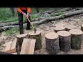 Langeweile im Wald Holz machen