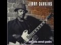 Jimmy Dawkins - Me, My Gitar and the Blues
