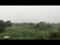 GENTLE TROPICAL RAIN SOUNDS | TROPICAL MEADOW | WHITE NOISE FOR RELAX