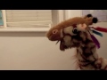 Geraldine the Giraffe learns /a-e/