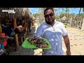 El rincón gastronómico de San Blas | El andador de aticama🌊🦐🦪