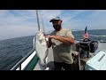 Big Fluke Half Day Party Boat Fishing RI July 2023