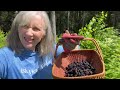 It’s Berry Pickin’ Time