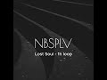 Lost Soul - NBSPLV (1h loop)