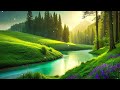 Soothing Relaxation Music, Relaxing Piano Music, Sleep Music, Water Sounds, Relax Music, Meditation