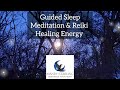 Guided Meditation & Reiki Healing Energy