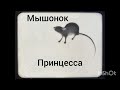 шоу маска мышонок 🐭🐁 принцесса 👸👑