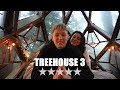 I Stayed in the Worlds Weirdest Treehouses!