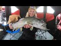 Catching Montana Lake Trout | Ice Fishing