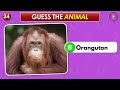 Guess the Animal by Eyes 👀 | Animal Quiz 🐶🦓