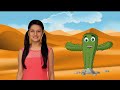 All about Plants | Types and Uses of Plants | Class 1 to 5 Science |