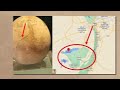 5,000 Year Old Map of AMERICA Discovered in Egypt Reveals Terrifying Secret